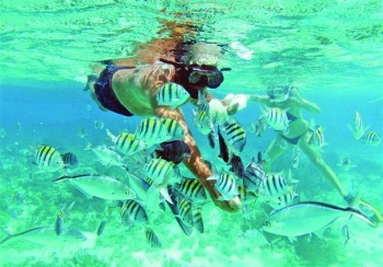 Top 10 things to do in Cayman 